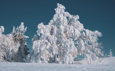 Experience the Magic of Snowcat Tours in Dunckley, Colorado Are…