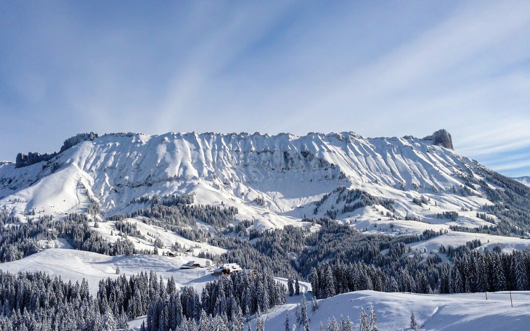 Champagne Powder Snowcat Tours | TL;DR: Experience Breathtaking Champagne Powder…