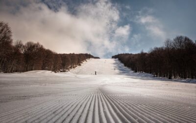 Denver’s Best Snowcat Tours – Snowcat Tours: Exploring Winter’s Wonderland…