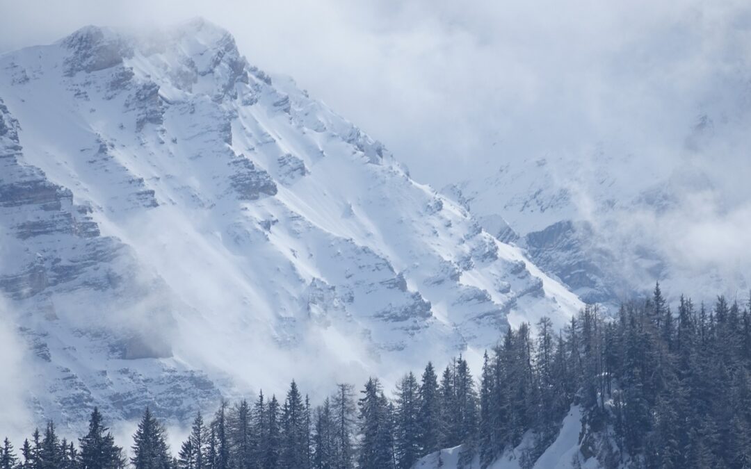 Exclusive Snow Cat Tours For Military Veterans ~ Embark On…