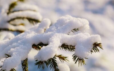 Expert-guided Snow Cat Tours &raquo; Snow Cat Tours: A Scenic…