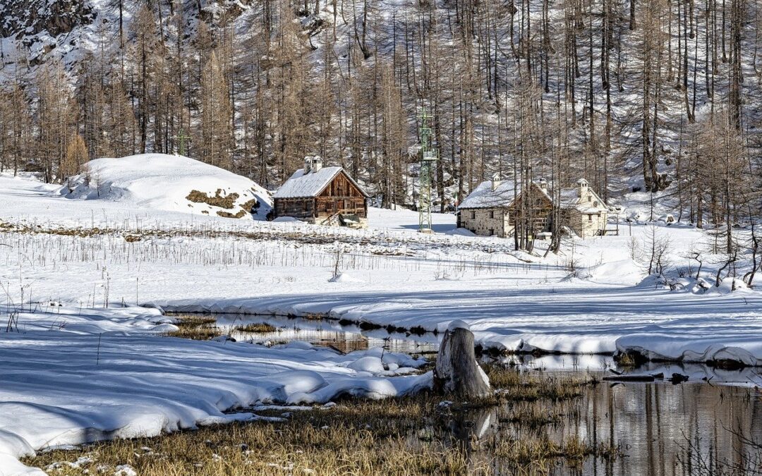 Embark on an Epic Snowy Adventure: Free Snow Cat Tours…