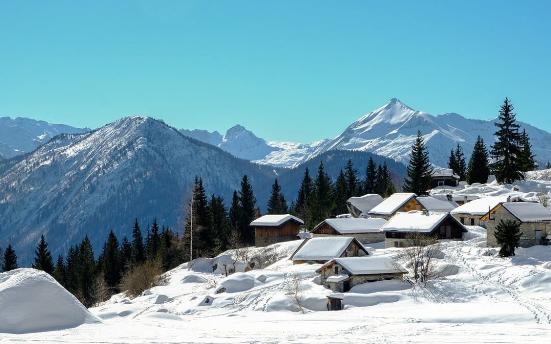 Free Snow Cat Tours For Tourists – Embark On A…