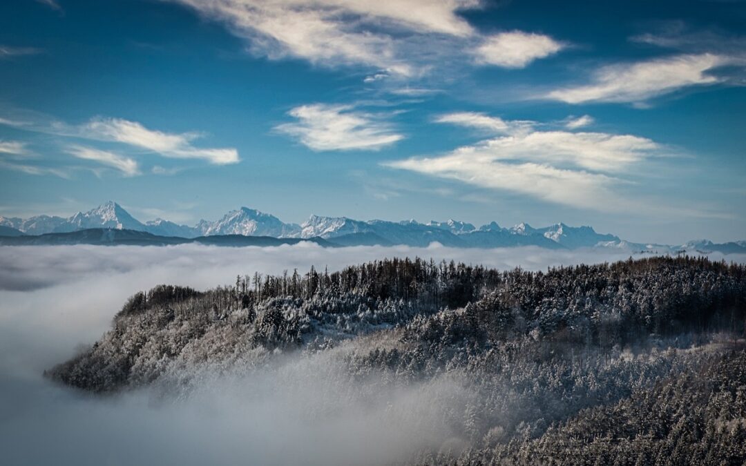 Embark on an Unforgettable Adventure: Free Snow Cat Tours for…