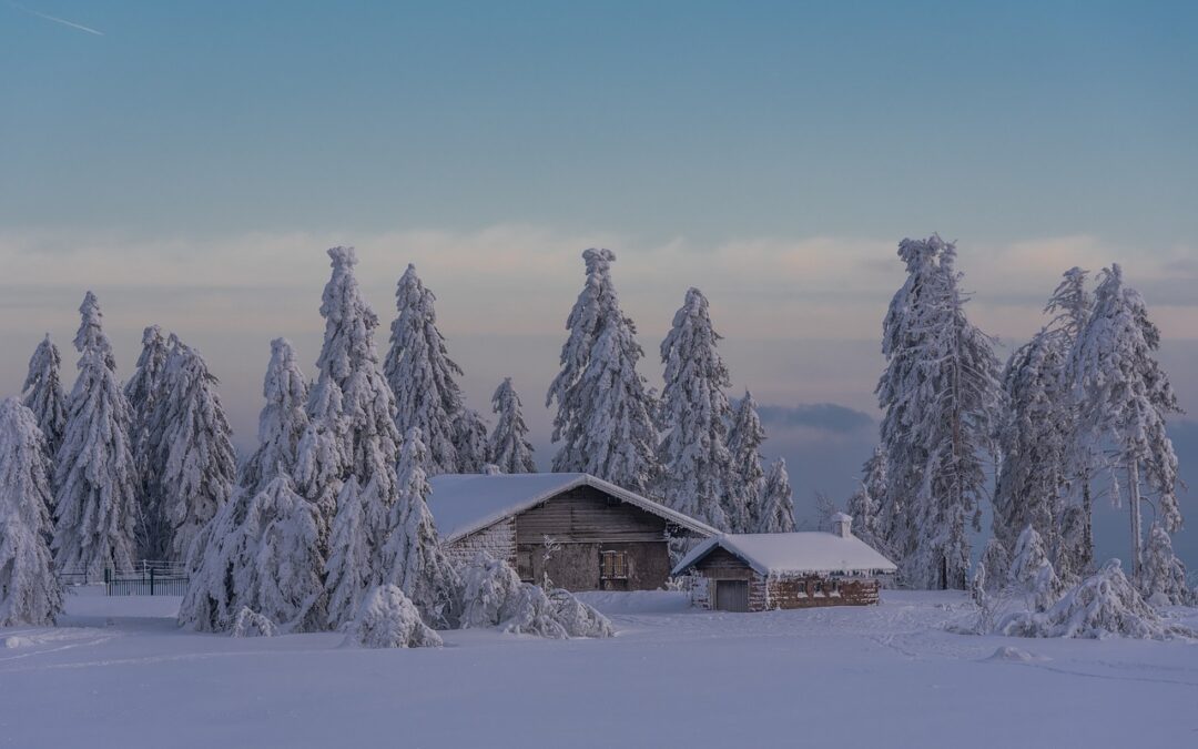 Snowcat Adventures Unveil the Magic of Howelsen Hill for Veterans…