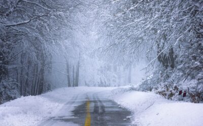 Snowcat Sojourns: Unlocking Winter Wonderland Wonders for Veterans and Adventurers…
