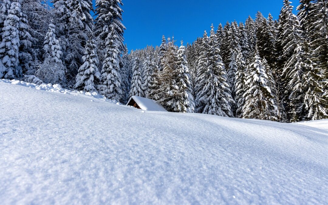 Snow Cat Tours: A Lakeside Escape for Veterans Get ready…