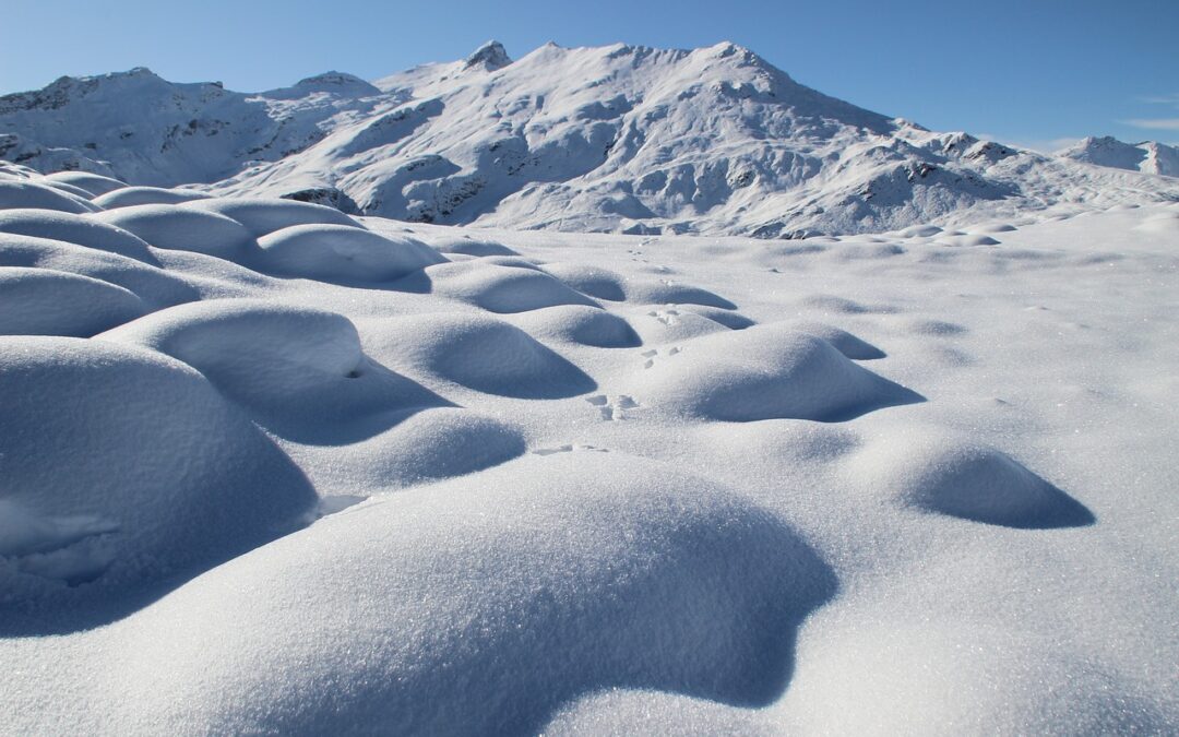 Unleash the Thrill: Free Snow Cat Tours for Veterans in…