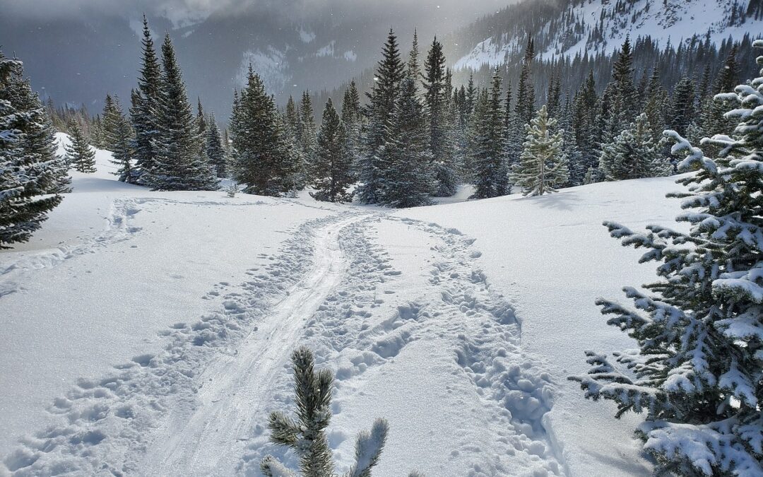 Free Snow Cat Tours in Steamboat Springs, Colorado – Embark…