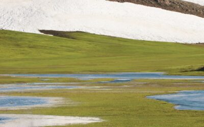 Embark on an Unforgettable Snow Cat Adventure in the Flat…