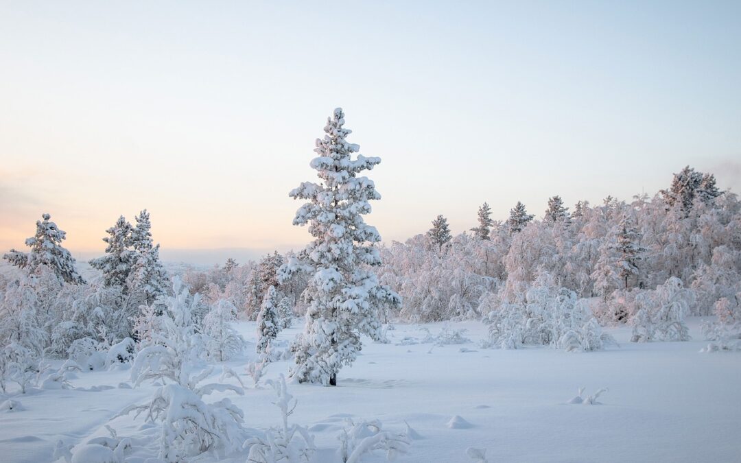 Title: Experience the Untamed Winter Wonderland with Guided Snow Cat…