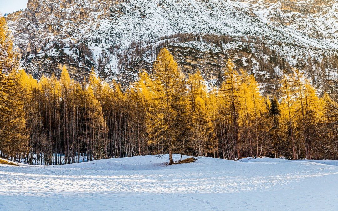 Snowcat Adventures: Unveiling the Winter Wonderland of Steamboat Springs with…