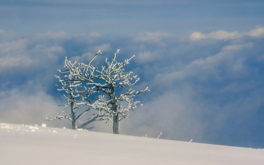 Capture the Ethereal Beauty of Craig, Colorado’s Snow-Dusted Landscapes Prepare…