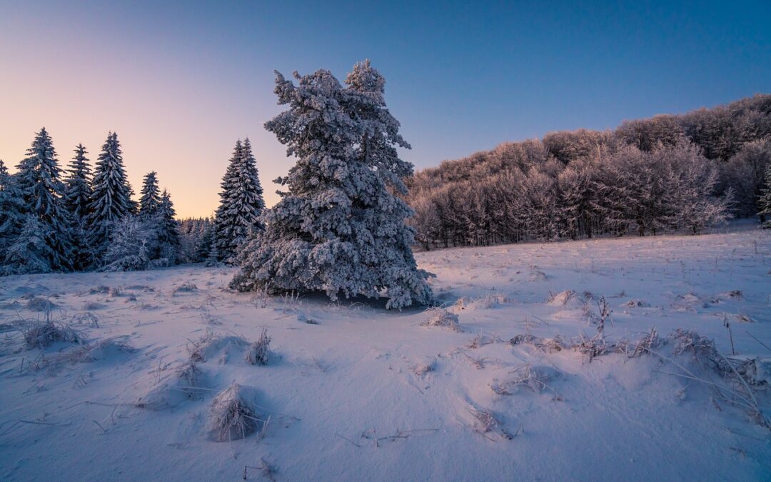 Historical Guided Snow Cat Tours » The Allure Of Historical…