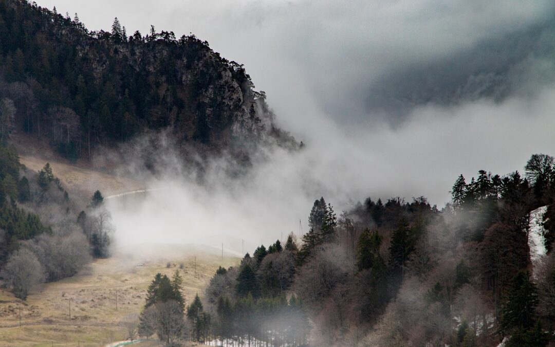 “Panoramic Views Snowcat Tours Steamboat Springs” – Snowcat Tours: Unveiling…