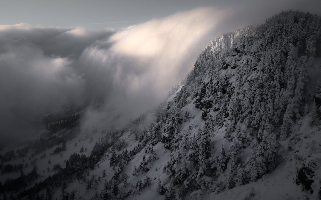 Snow Cat Tours For Veterans In Rocky Mountain National Park…