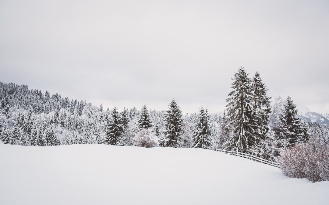 Embark on an Unforgettable Snowcat Adventure in Rabbit Ears Pass…