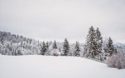 Embark on an Unforgettable Snowcat Adventure in Rabbit Ears Pass…