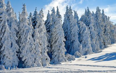 Embark on an Epic Snowcat Adventure in Craig, Home to…