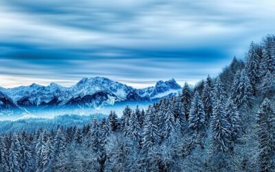 Snow Cat Tours In Colorado’s Rocky Mountains | Unleashing The…