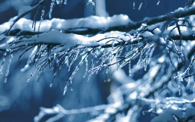 Embark on a Snowcat Expedition: Unveiling the Winter Wonderland of…