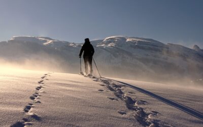 Experience the Winter Wonderland: Unforgettable Snowcat Tours with Lunch Embark…