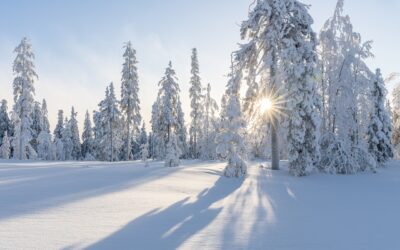 Discover the Magic of Mad Creek: Embark on Captivating Snowcat…