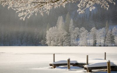 Discover the Enchanting Snowcat Tours of Kremmling: A Photographer’s Paradise…