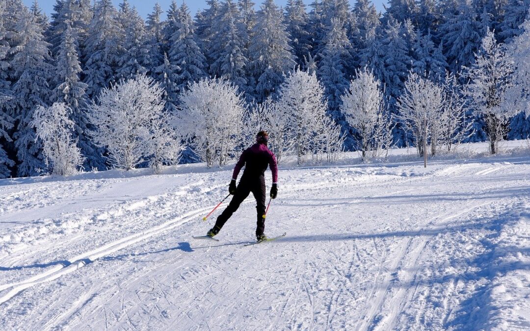 Snowcat Charter Tours With Expert Skiers | Catchy Title: Snowcat…