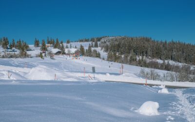 Snowcat Skiing Buffalo Pass: Discover The Unforgettable Snowcat Tours: Explore…