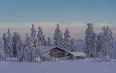 Snowcat Skiing Experience &raquo; Snowcat Tours: Your Key To Unlocking…