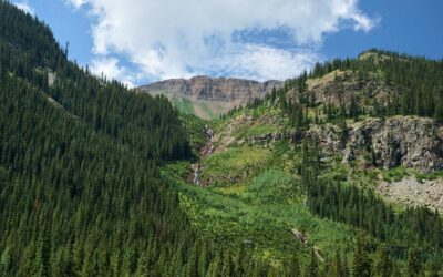 Snowmobiling: Ride Through Designated Snowmobiling Paths In The Park. &raquo;…