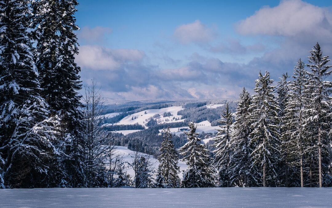 Steamboat Springs Winter Activities ~ Snowcat Tours: An Unforgettable Winter…