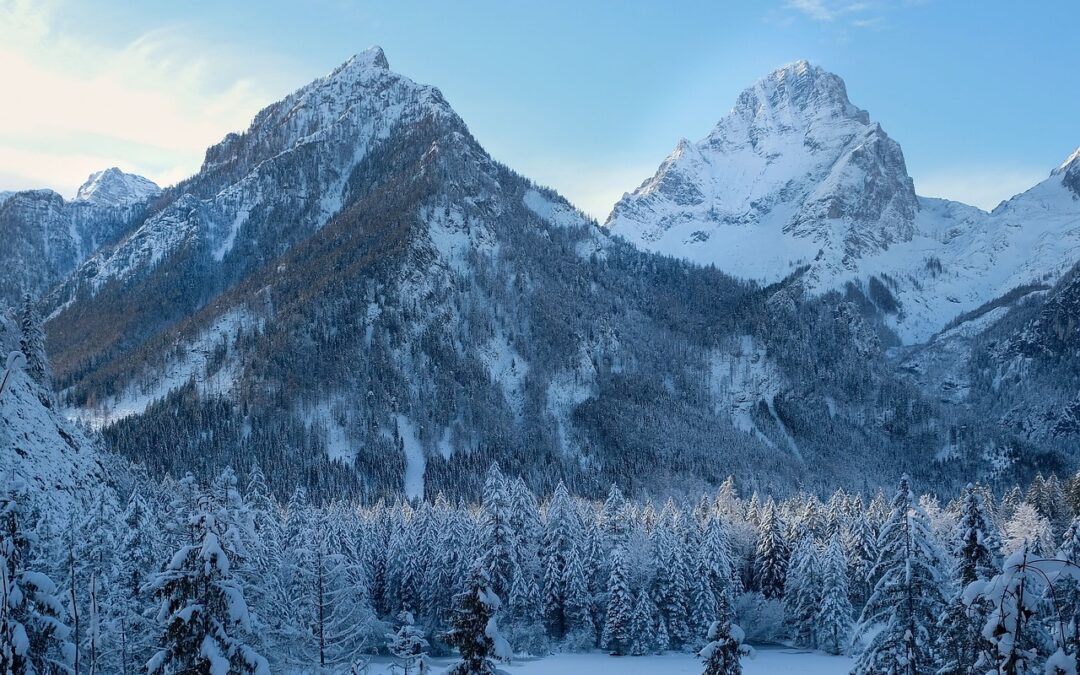 Winter Wonderland Guided Snow Cat Tours ~ Discover The Enchanting…