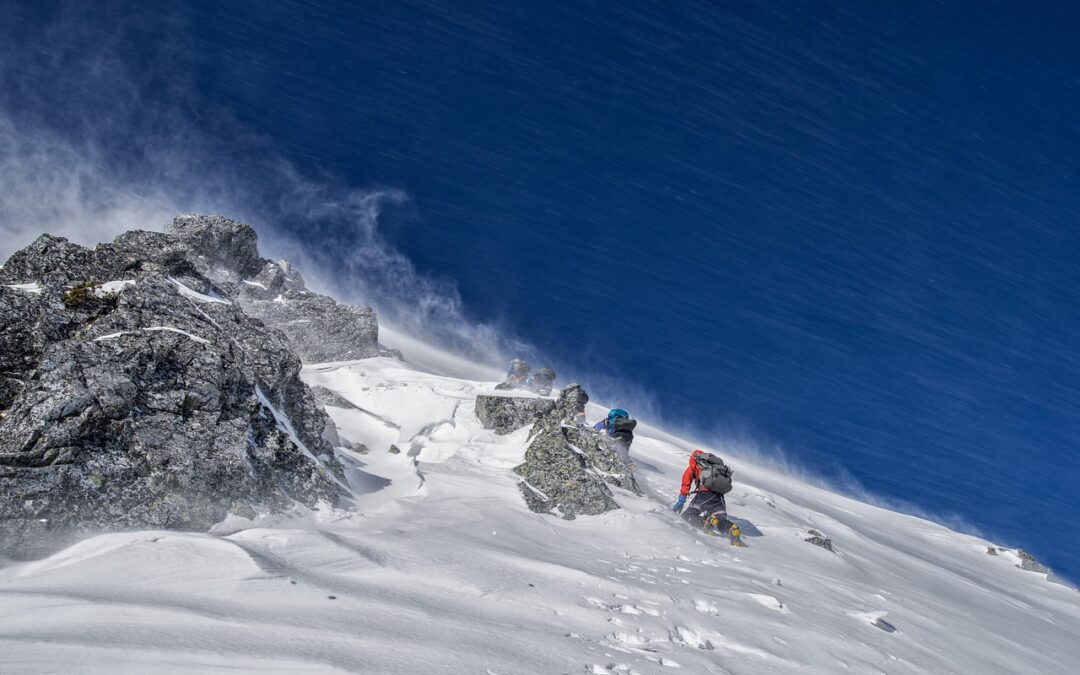 World-renowned Snowcat Tours In Colorado » Unveiling The Winter Wonderland…