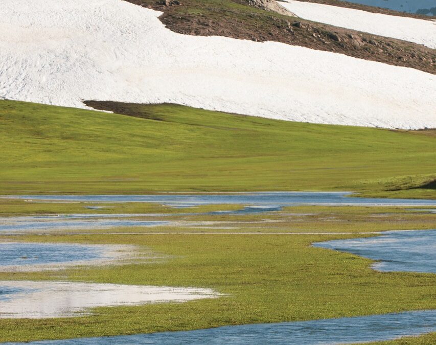 “Affordable Snowcat Tours Steamboat Springs” | Unveiling The Snowy Wonders…