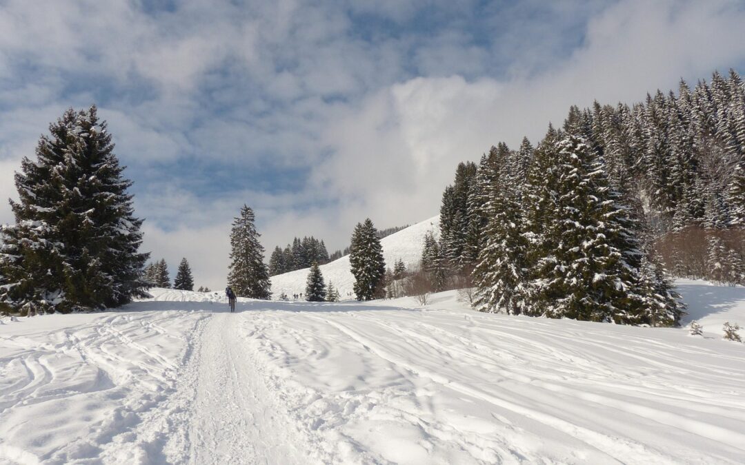 American Snowcat Tours For Global Travelers » Unveiling The Arctic…