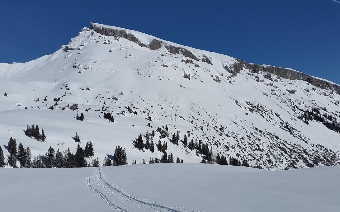 Backcountry Snowcat Tours » Backcountry Snowcat Tours In Rifle Gap…