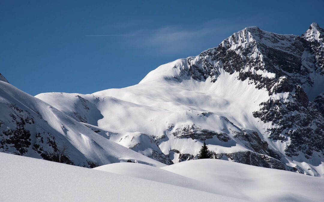 Best Snow Cat Tours In Colorado – Unveiling The Untamed…