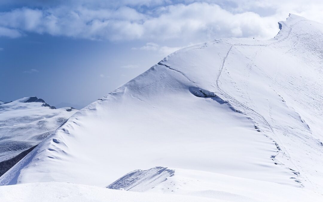 Colorado Mountain Tours / Unleash Your Winter Adventure: Explore The…