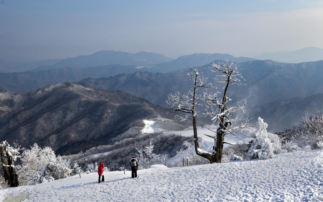 Customizable Guided Snow Cat Tours » Title: Discover The Enchanting…