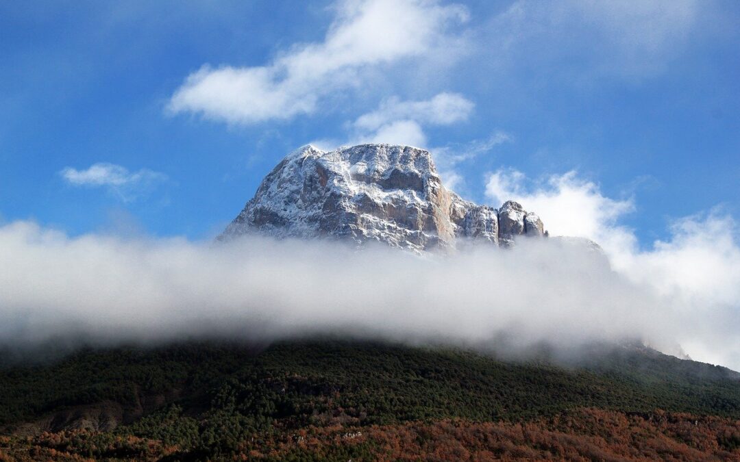 Enlisted-only Snowcat Charter Tours: The Enchanting Snow-Covered Adventure: Snow Cat…