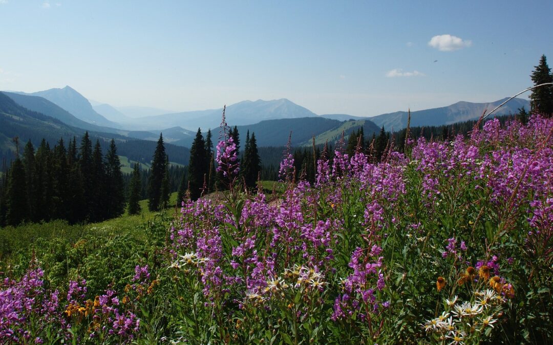 Explore Colorado’s Mountains: Unleashing The Enchantment Of Mount Harris Through…