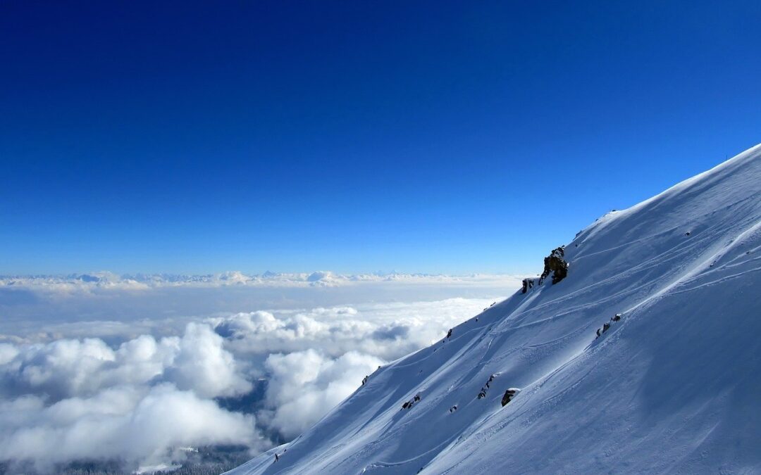 Free Expert-led Snow Cat Tours For Veterans | Embark On…