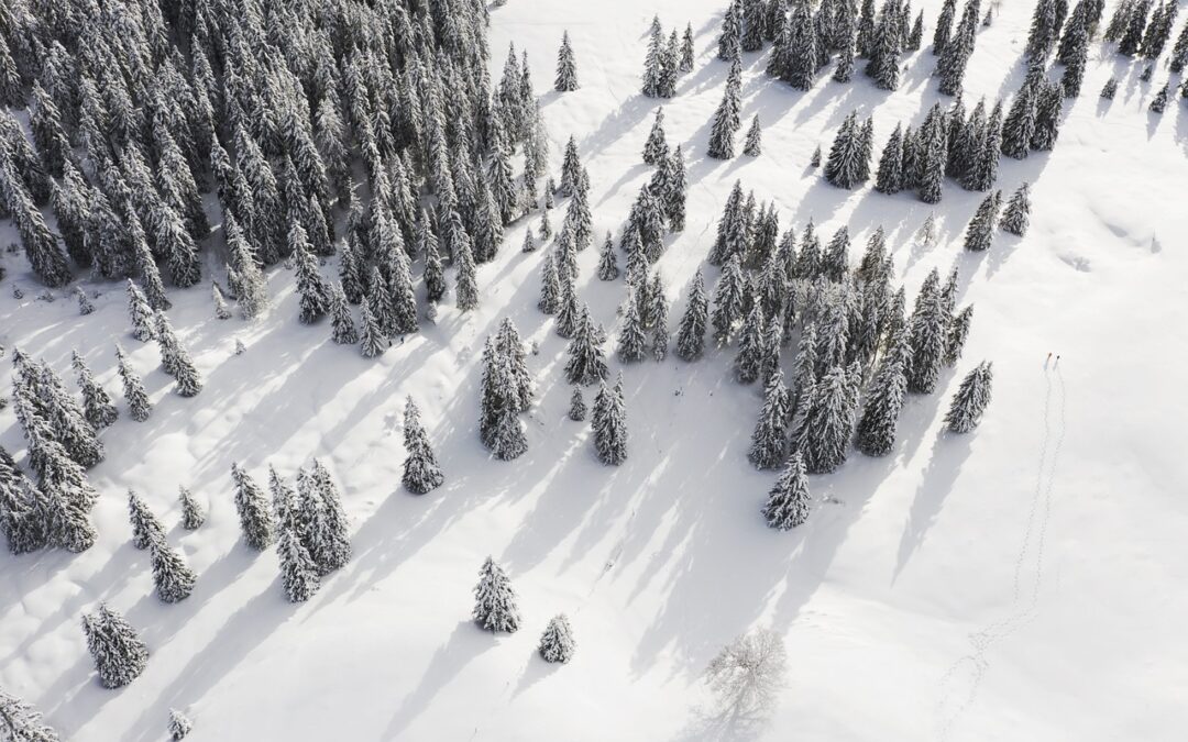 Free Expert-led Snow Cat Tours For Veterans – Unveiling The…