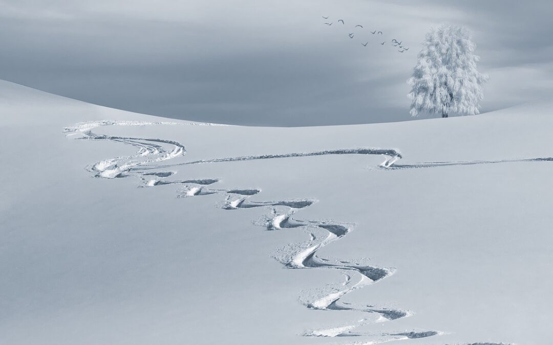 Free Snow Cat Tours For Families ~ Embark On A…