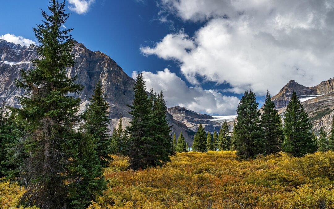 Free Snow Cat Tours For Veterans In Rocky Mountain National…