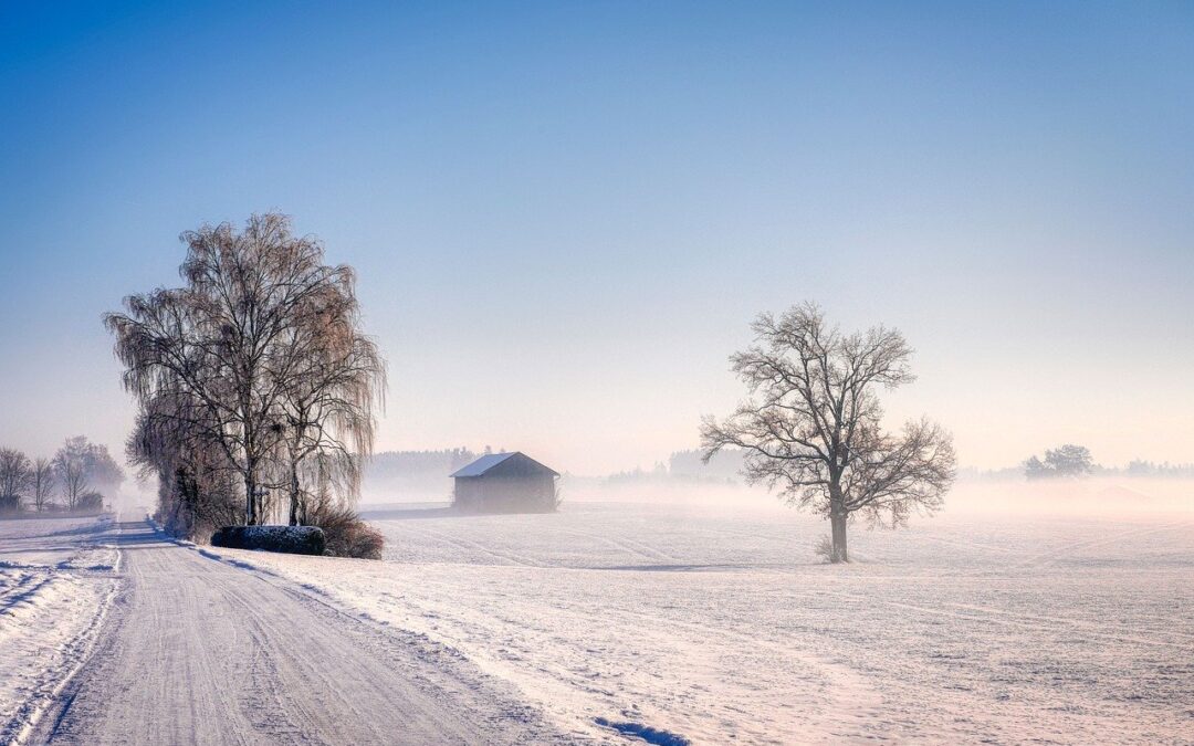 Free Snow Cat Tours For Veterans With Photography Opportunities /…