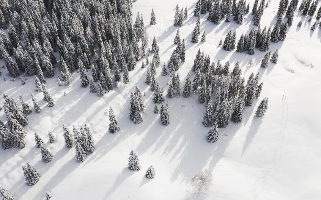 Guided Snow Cat Tours For Novices ~ Embark On An…