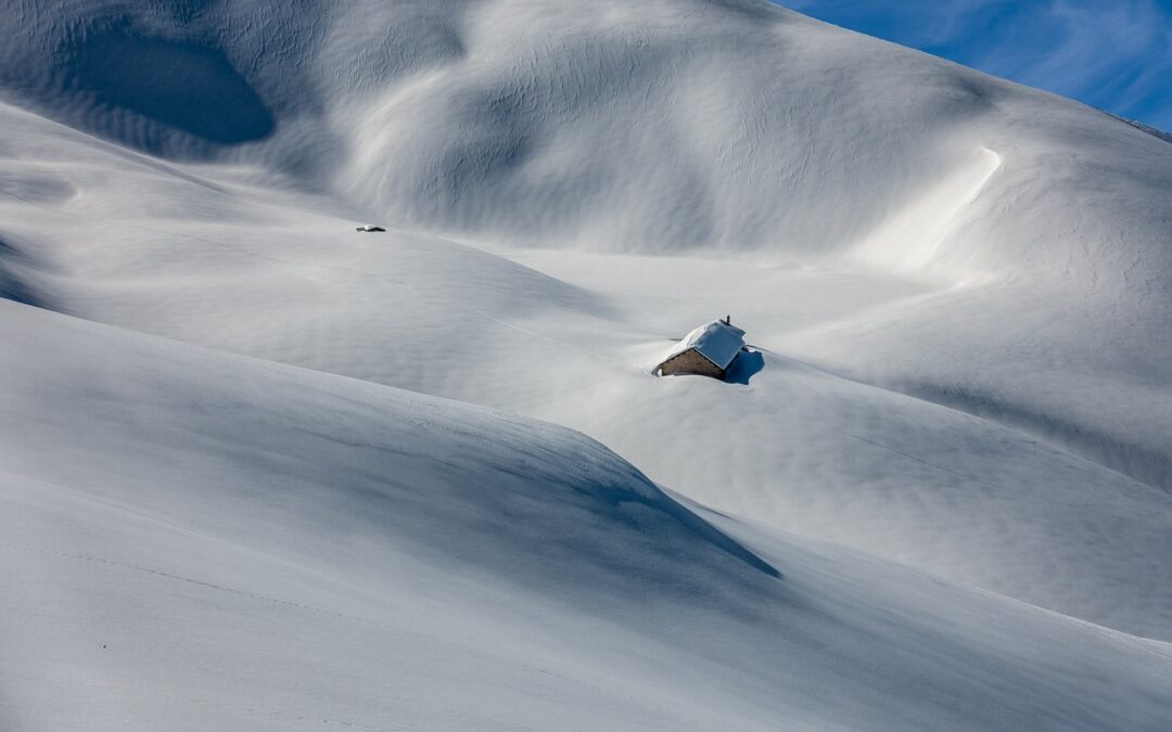 Guided Snow Cat Tours With Included Meals: Dive Into A…